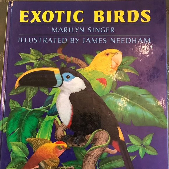 3 Hardcover Children’s Books - Picture 4 of 8